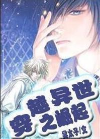 穿越异世之崛起